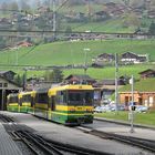 Grindelwald Grund