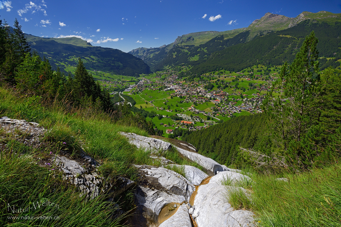 Grindelwald im Grünen