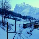 Grindelwald.001