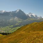 Grindelwaldtal von Spillmatten mit Bergkette