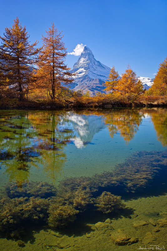 Grindjsee