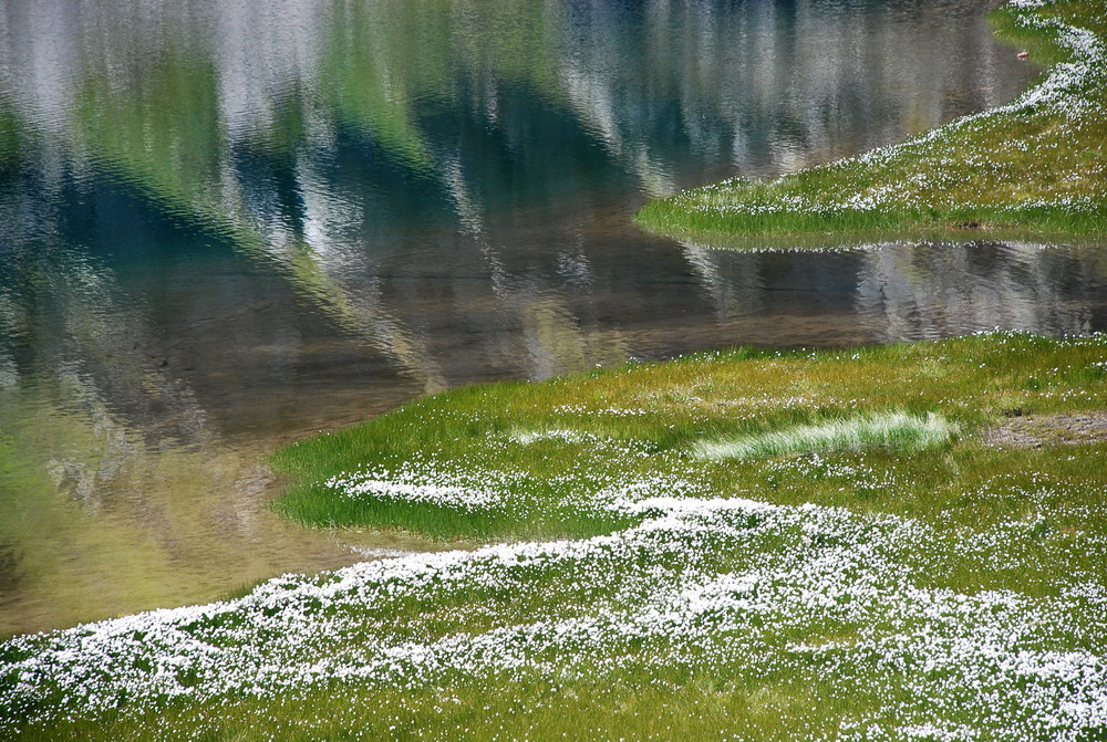 Grindlersee mit Wollgrasteppich