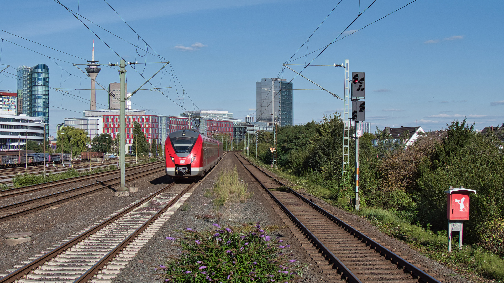 "Grinsekatze" in Düsseldorf-Hamm