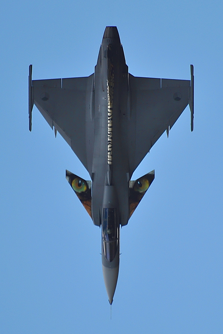 Gripen