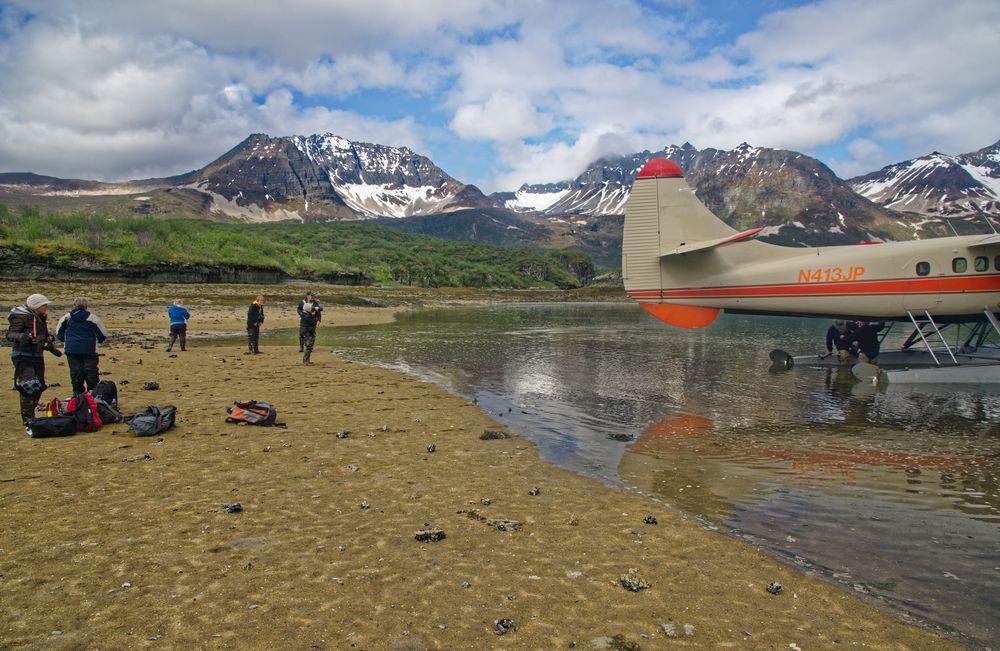 Grizzly bear viewing, Katmai NP