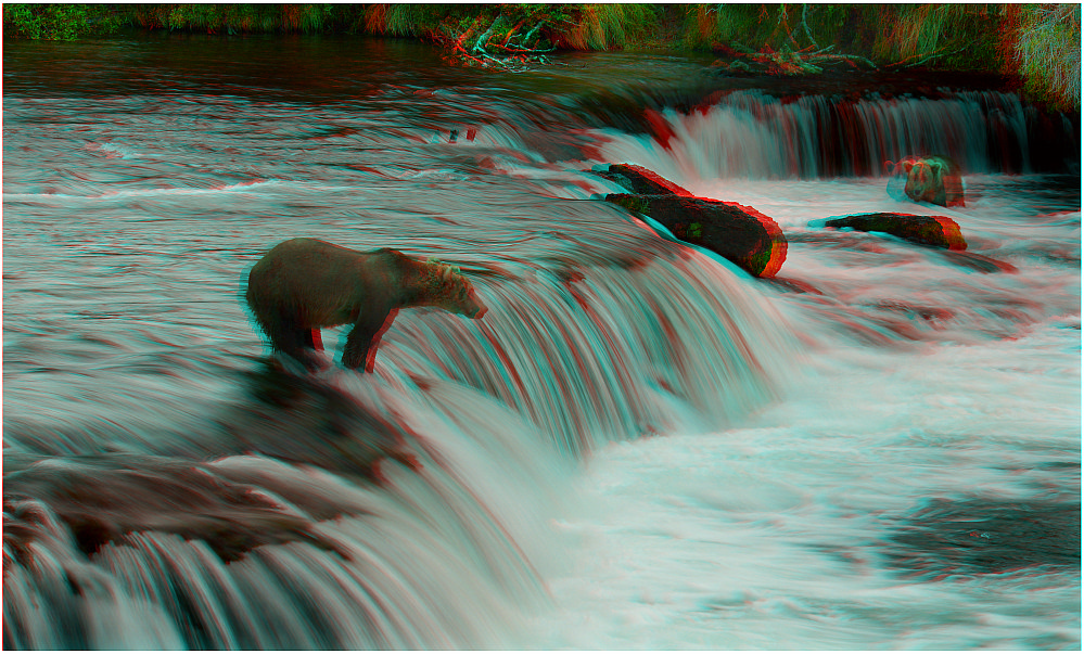 Grizzly´s an den Brooks Falls - 3D Anaglyphe