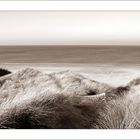 Grønhøj Strand - Denmark - 2003