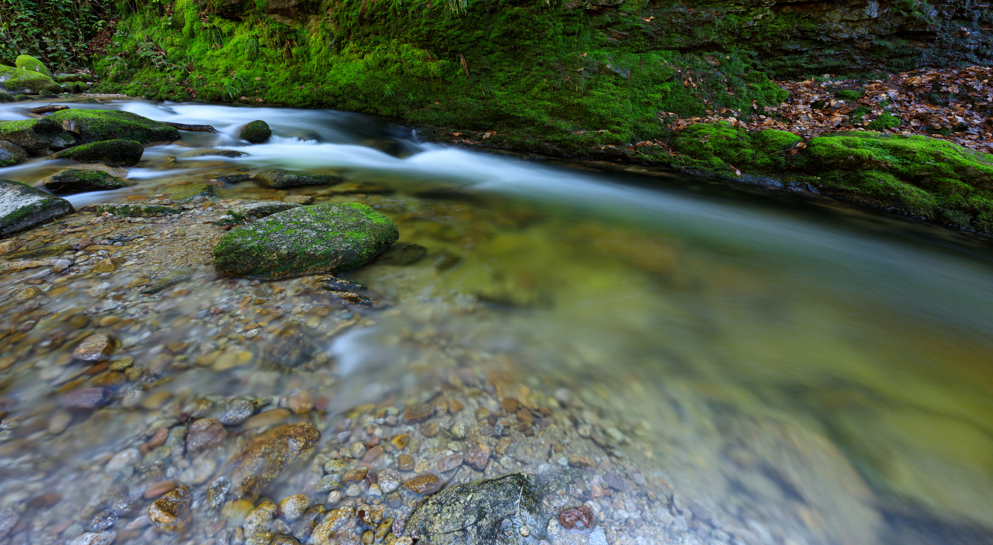 Grobbach im Schwarzwald