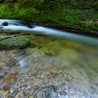 Grobbach im Schwarzwald