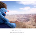 Grobi am Grand Canyon