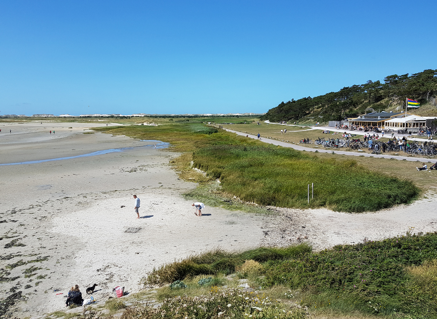 Groene strand en de Walvis