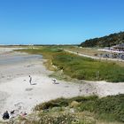 Groene strand en de Walvis