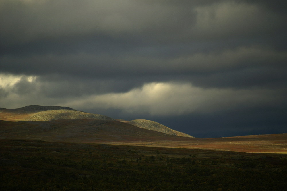 Grönfjäll, Dikanäs, südl. Lappland, Schweden