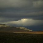 Grönfjäll, Dikanäs, südl. Lappland, Schweden