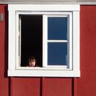 Grönländisches Fenster