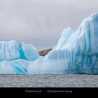 Grönland 8