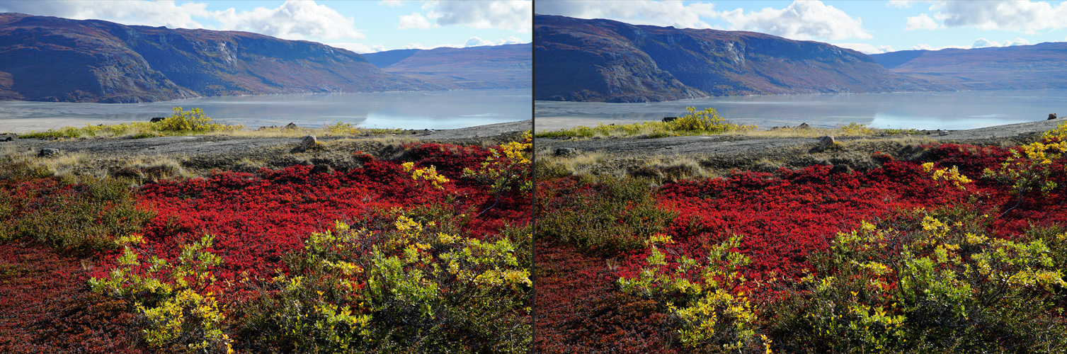 Grönland am blueberry hill (3D-X-View)