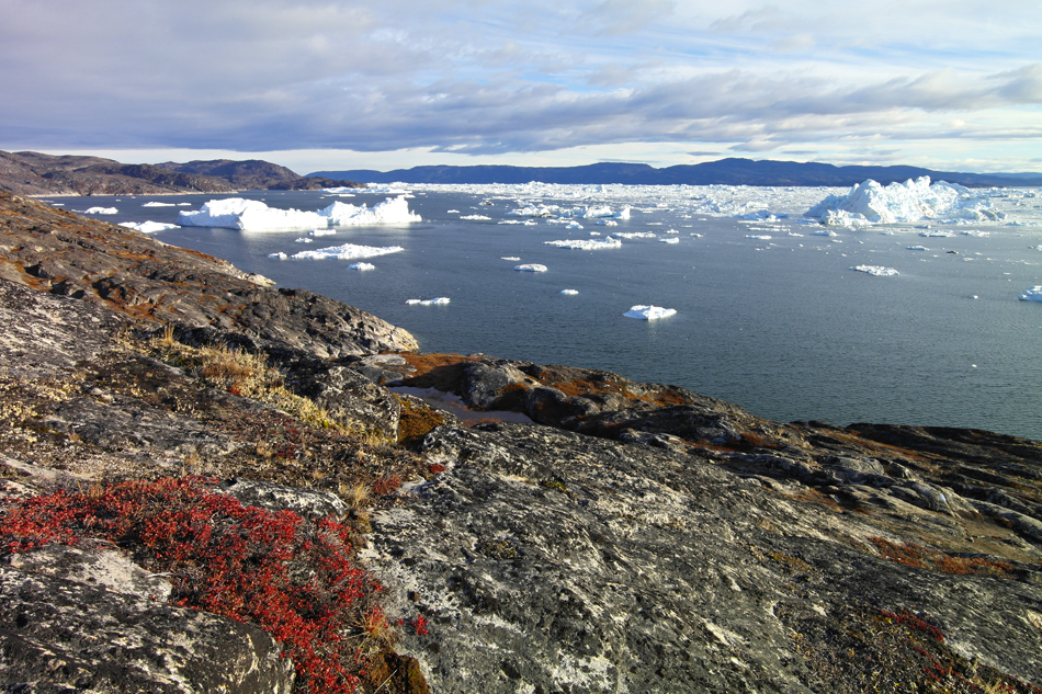 Grönland „Blick in den Eisfjord“ FVR 2012