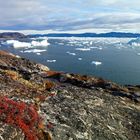 Grönland „Blick in den Eisfjord“ FVR 2012