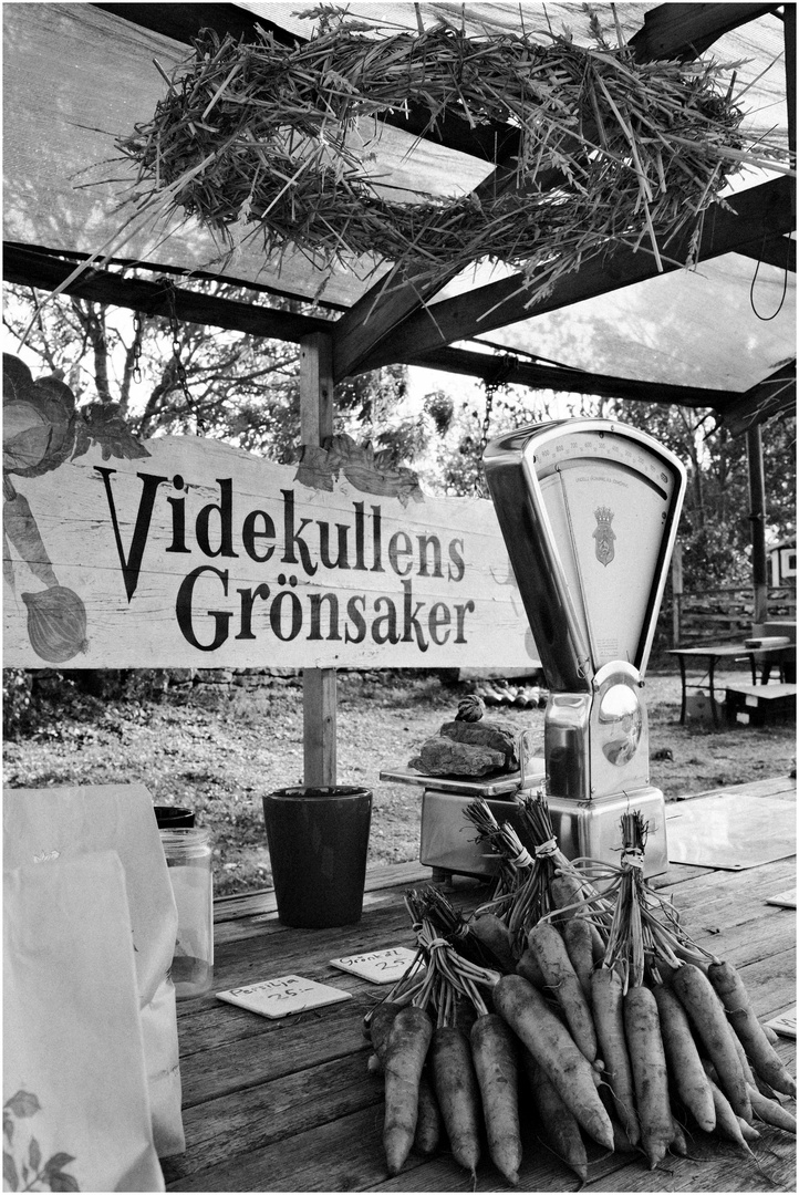 Grönsaker - Öland