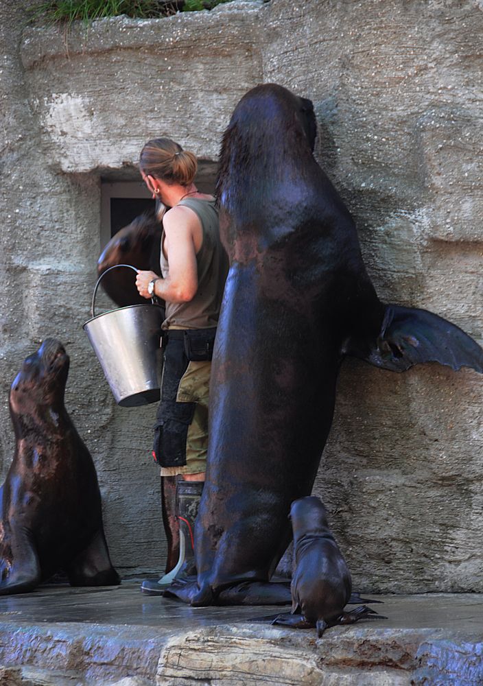 Größenvergleich - at the Zoo