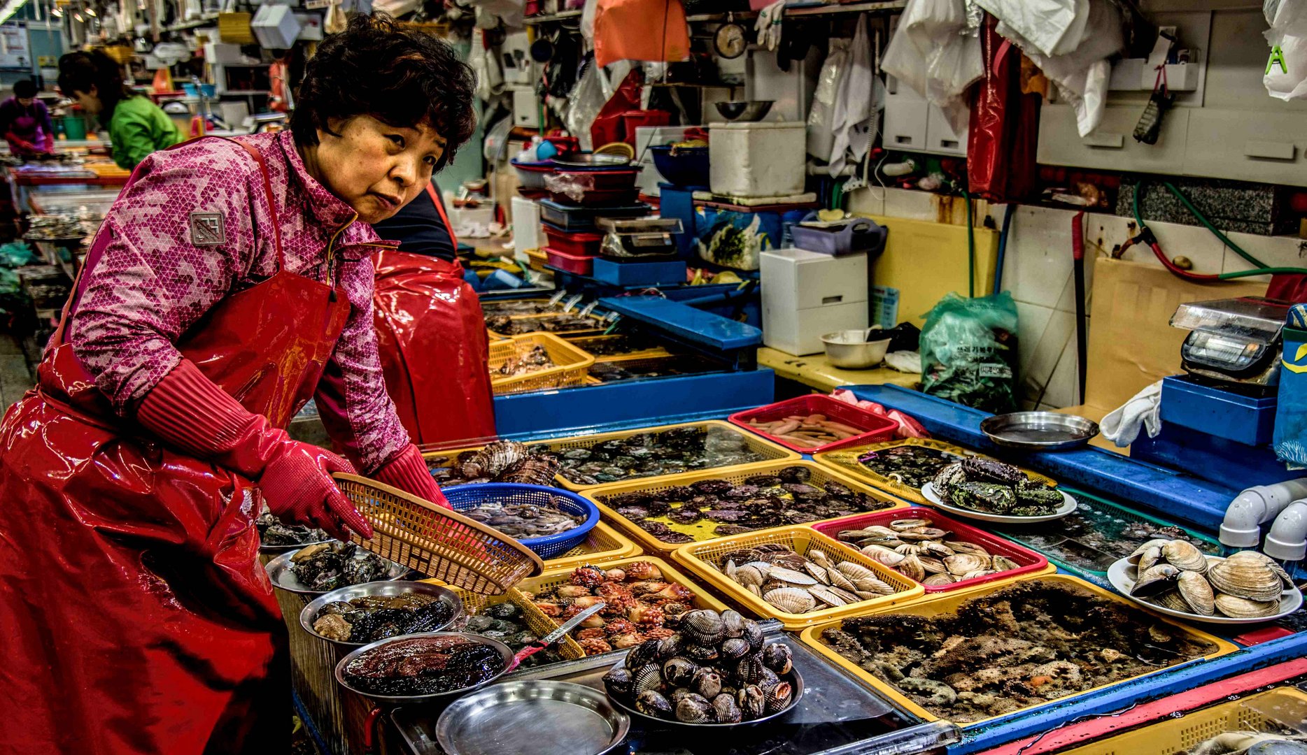 Grösster Fischmarkt in Korea (Busan)