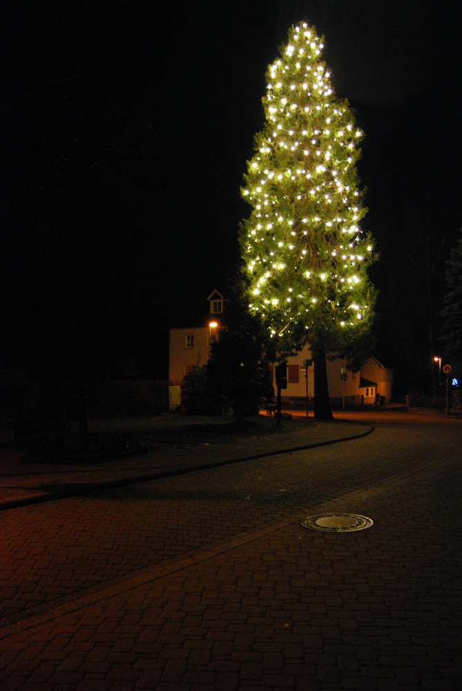 Größter Weihnachtsbaum der umgebung