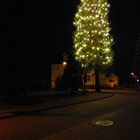 Größter Weihnachtsbaum der umgebung