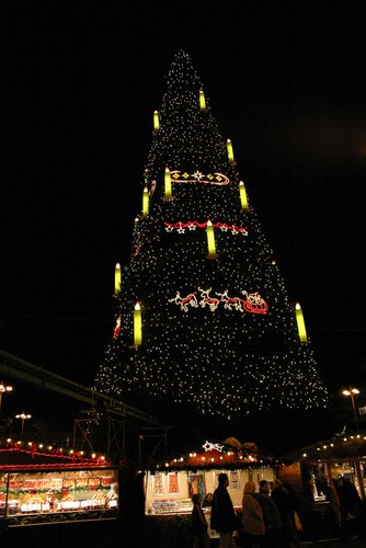 Grösster Weihnachtsbaum der Welt!! ??