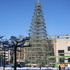 Größter Weihnachtsbaum der Welt NACKT mitten in Dortmund!