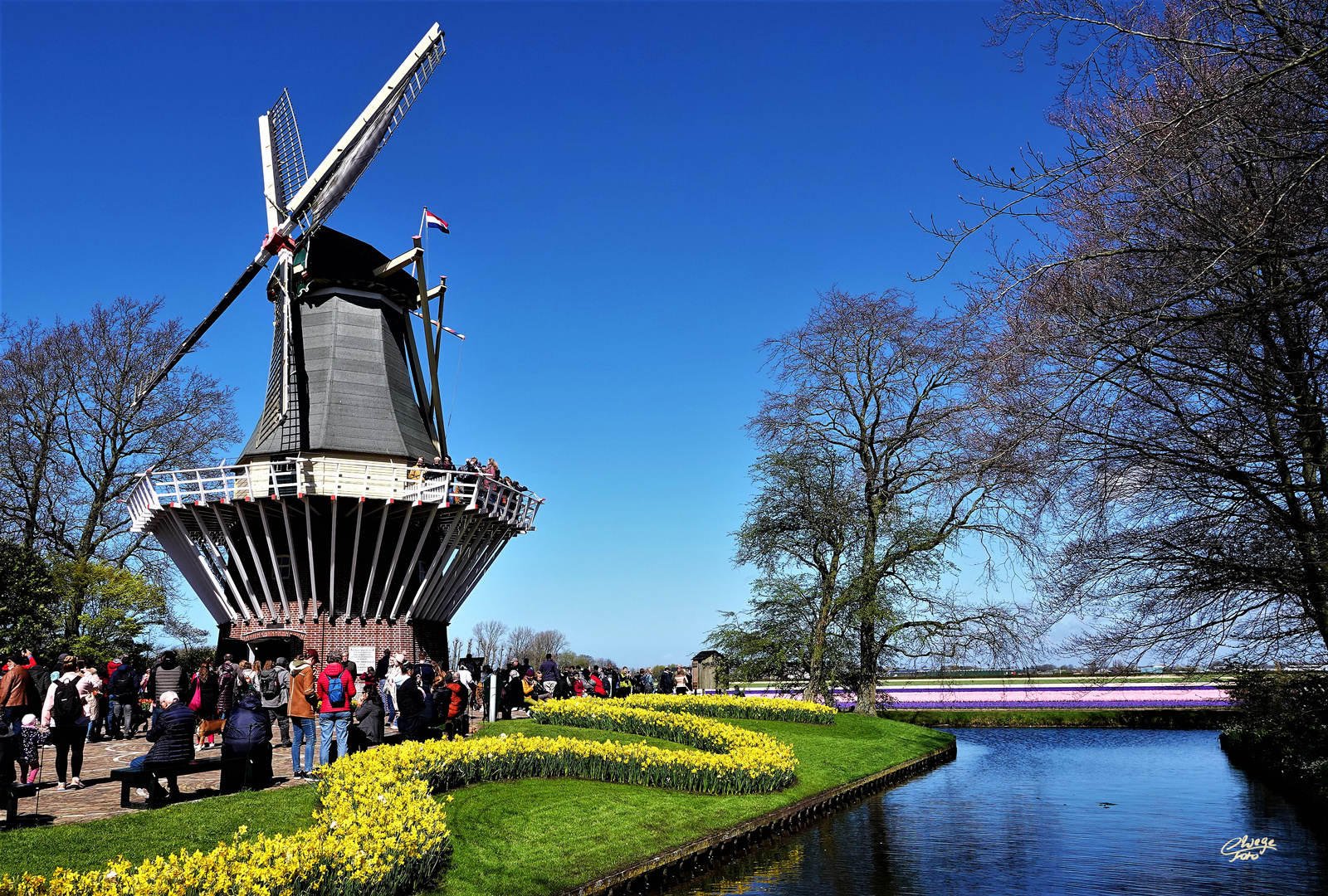 Groetjes van de Keukenhof