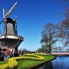 Groetjes van de Keukenhof