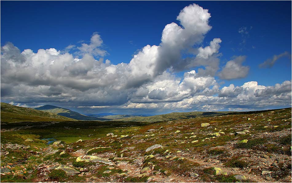 Grövelsjögebiet - Linnevägen