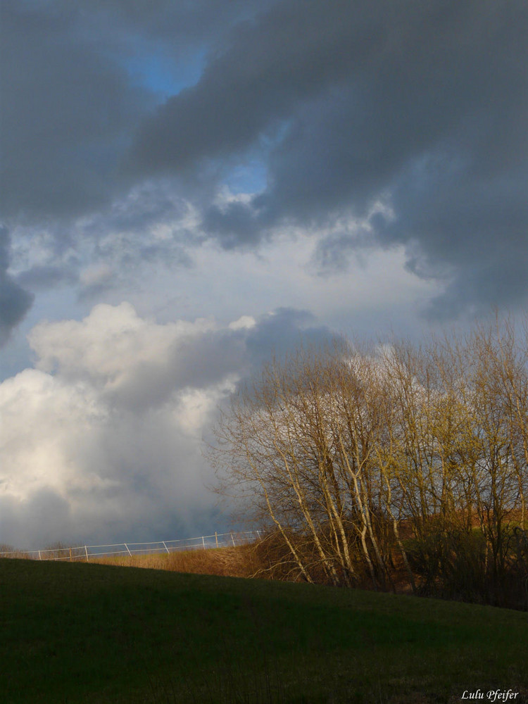 Gronauer Natur