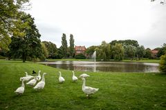 Groningen (Oosterparkbuurt) - Oosterpark - 01