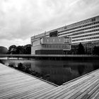 Groningen - Zernike Campus - Nettelbosje - Paviljoen Duisenberg - 16