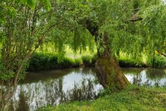 GROOMBRIDGE PLACE 2