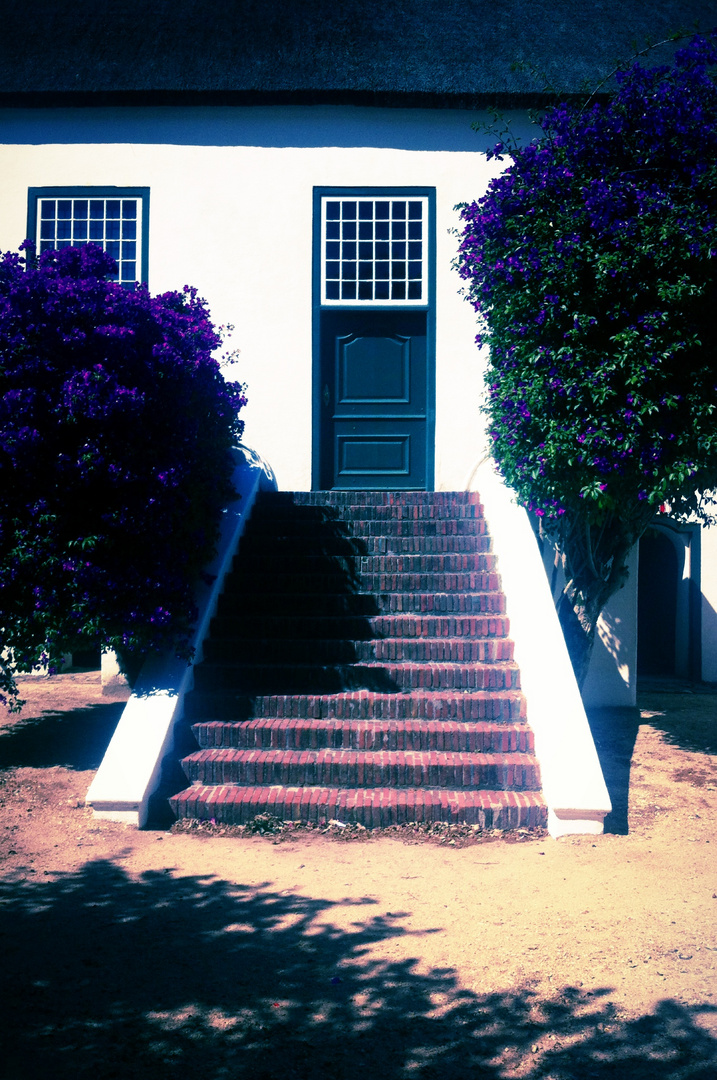 Groot Constantia