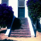 Groot Constantia