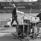 groove at the docks