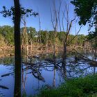 Groov'sches Loch