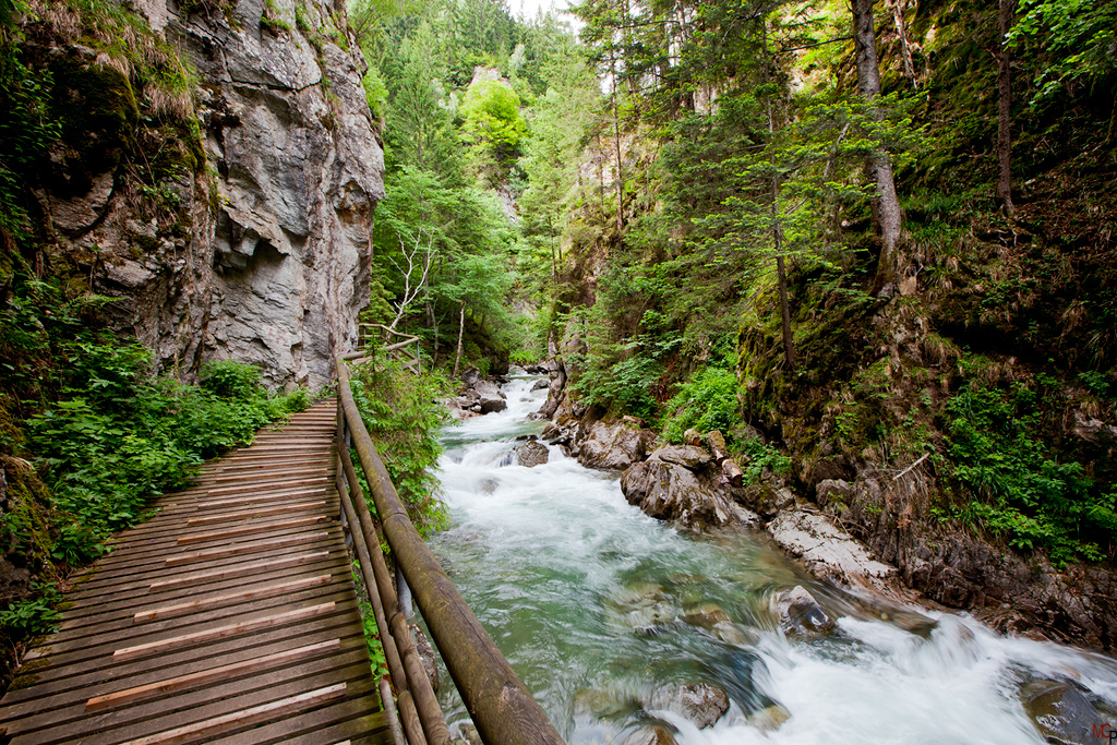 Groppensteinschlucht II