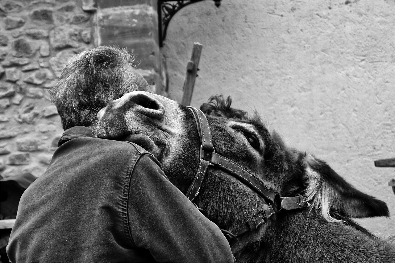 Gros câlin photo et image france, nature, world Images