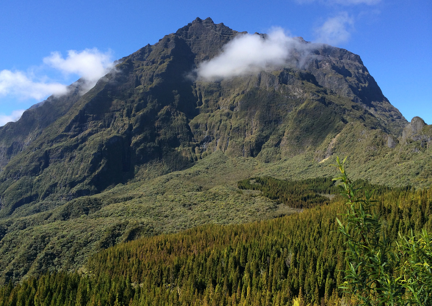 Gros Morne