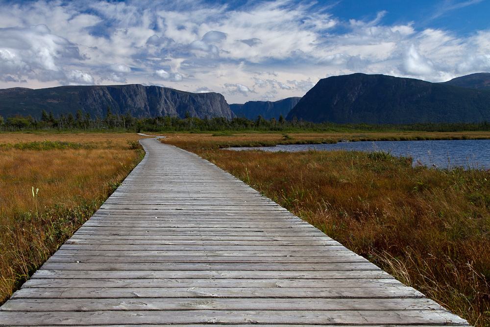 Gros Morne