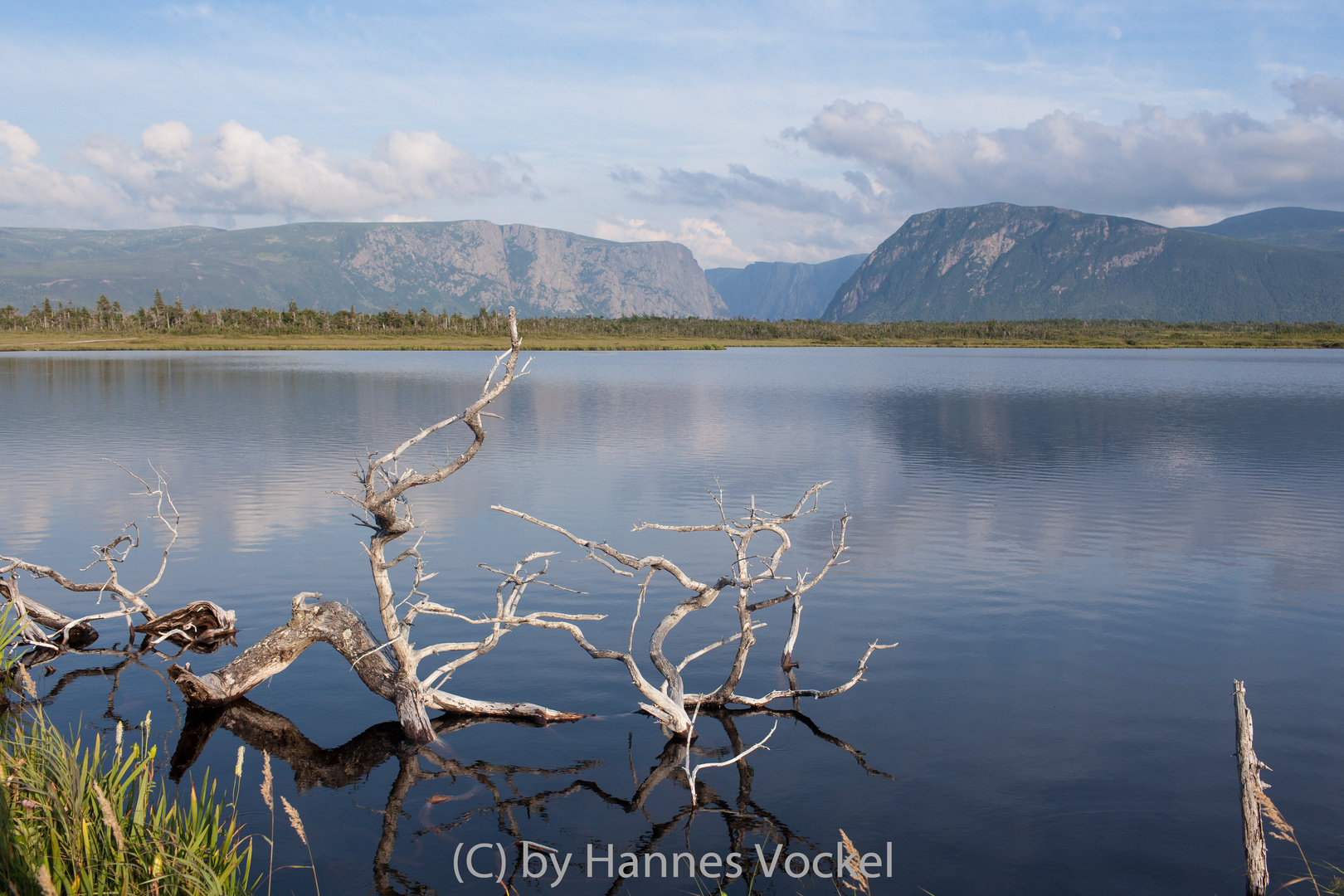 gros morne newfoundland