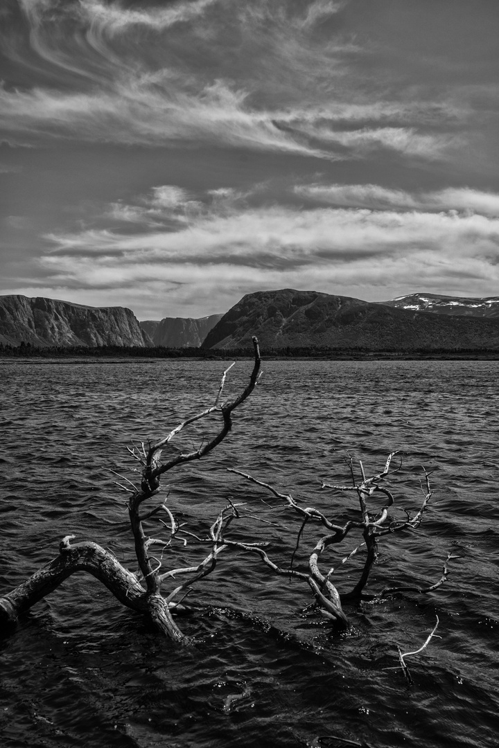 Gros Morne NP 1