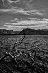 Gros Morne NP 1