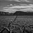 Gros Morne NP 1