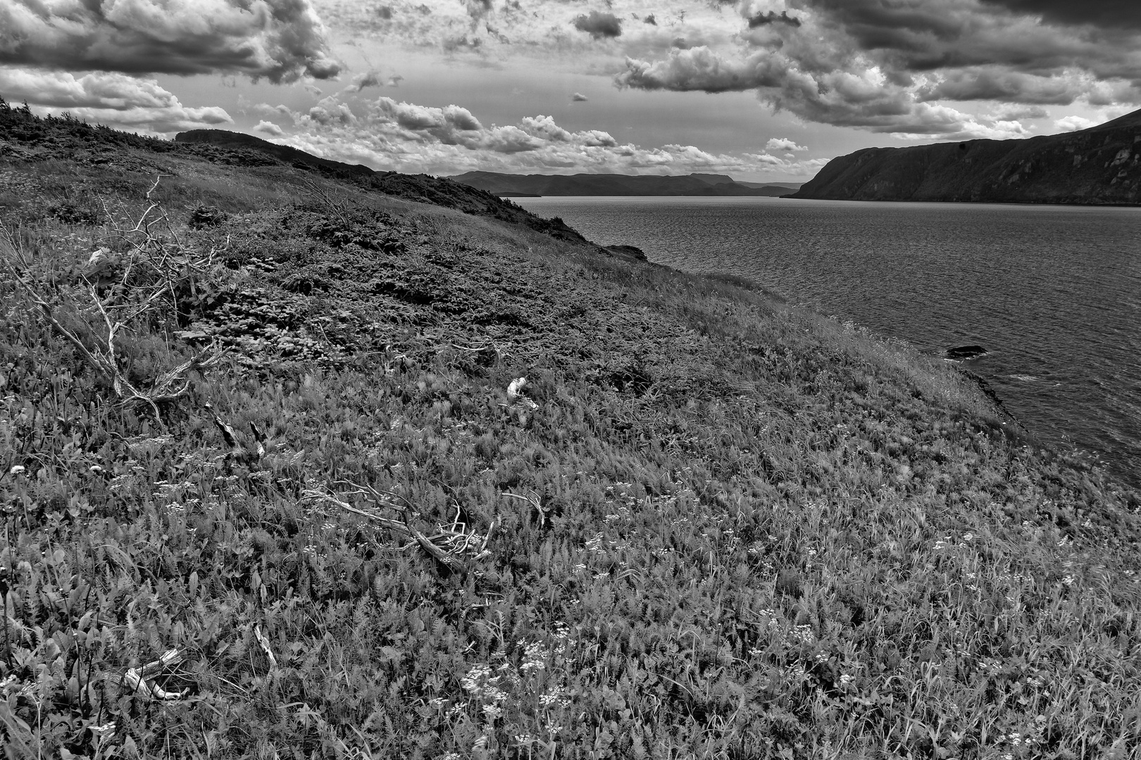 Gros Morne NP, Rocky Harbour, NF